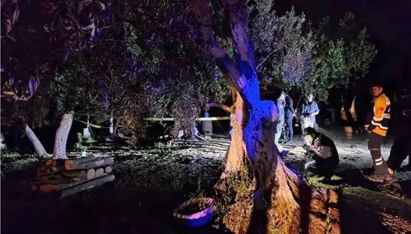 Çiftlikteki Baltalı Vahşet: Bir Gözaltı ve Bölgedeki Tedirginlik Artıyor