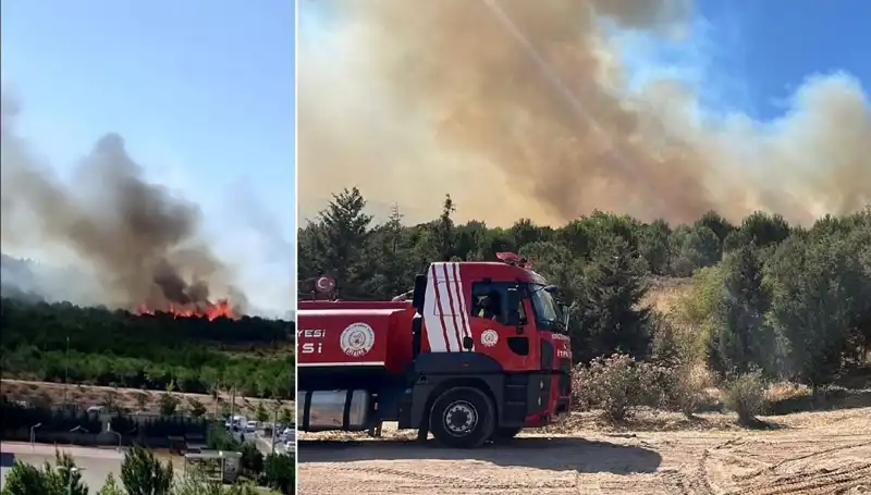 Gebze'de Korkutan Orman Yangını: Yangınla Mücadelede Neler Yaşandı?