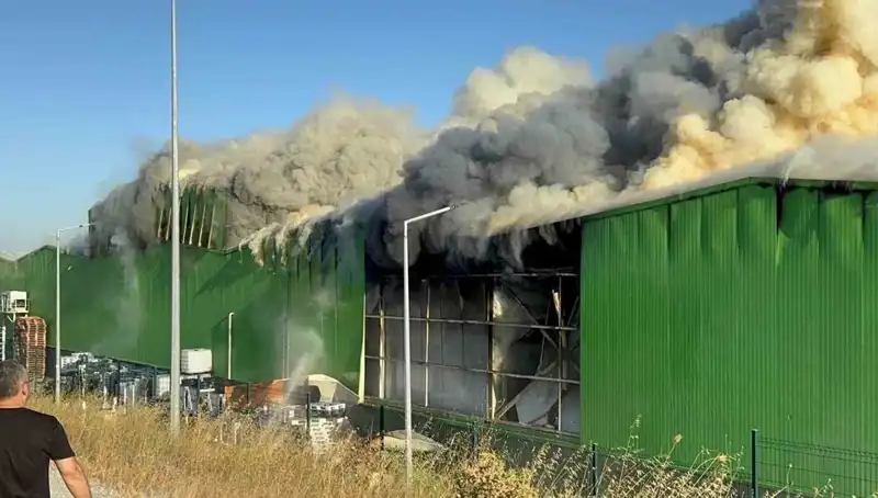 Balıkesir’de Fabrika Yangınında Hayatını Kaybeden İşçilerin Acı Hikayesi