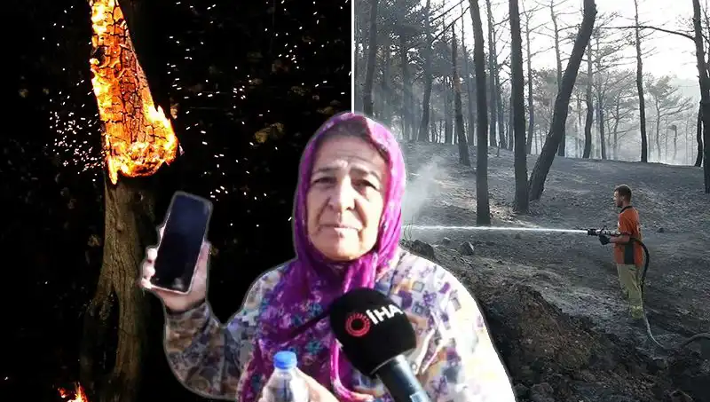 Çanakkale'de Orman Yangınları Kontrol Altına Alındı: Kayıplar Giderilmekte