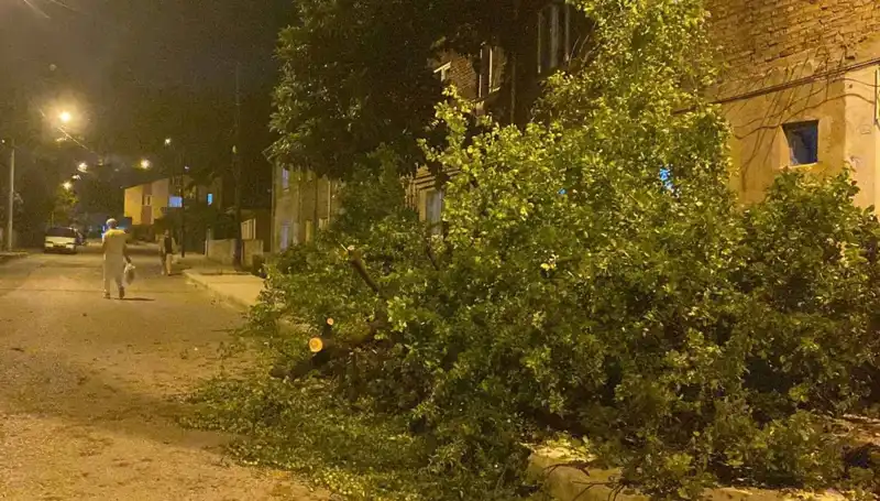 Karabük'te Fırtına Felaketi: Şehir Adeta Savaş Alanına Döndü