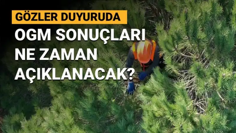 OGM 3 Bin 477 Sözleşmeli Personel Alımı Duyurusuna Merak: Sonuçlar Ne Zaman Açıklanacak?