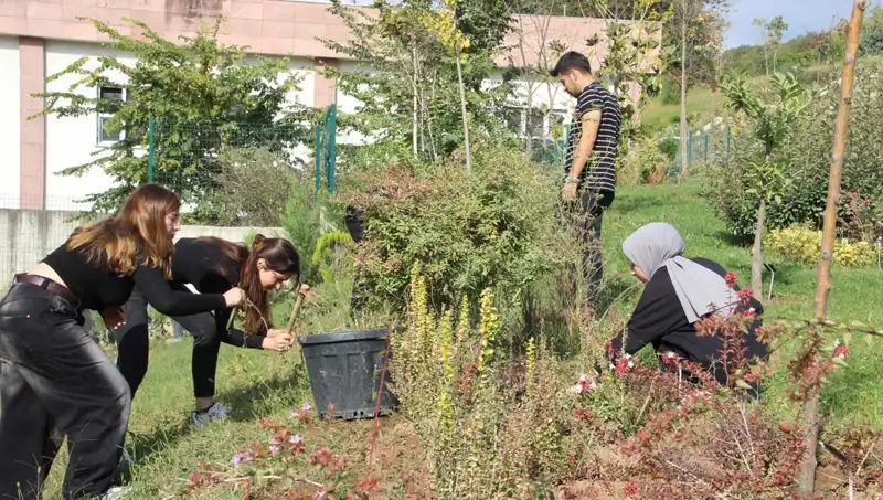 Düzce’nin Yıldızı Parlıyor: Hayaller Gerçek Oldu