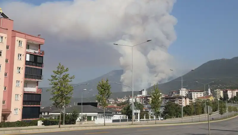 Denizli'de Orman Yangını: Nedenleri ve Şüpheli Gözaltında