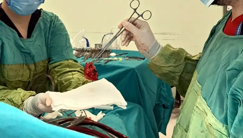 Kalp Kapağındaki Çürümeyi Yenmek: 7 Saatlik Ameliyatla Hayat Kurtuldu
