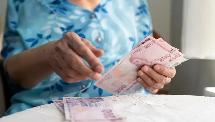 Emeklilere Yönelik Dolandırıcılık Faaliyetleri Artış Gösteriyor