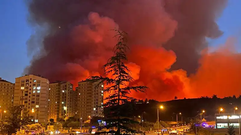 Bursa'da Yangınlar Şehri Korku İçinde Bıraktı: Neler Oluyor?