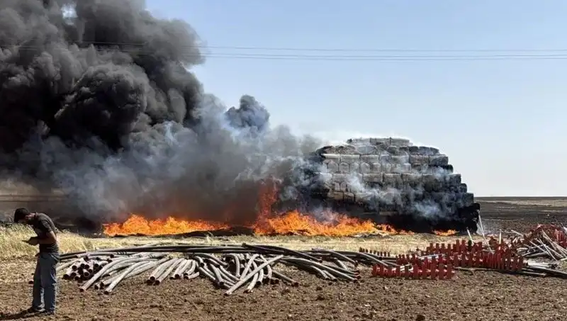 Mardin'de Anız Yangınları Artıyor, Tarım Alanları Tehdit Altında!