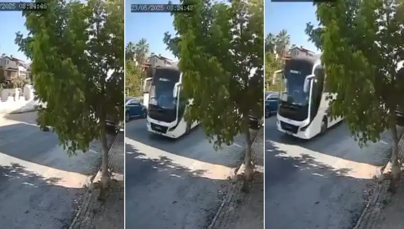 Yolda Yatan Köpeği Ezip Kaçan Araç Sahibi Herkesi Şaşırttı