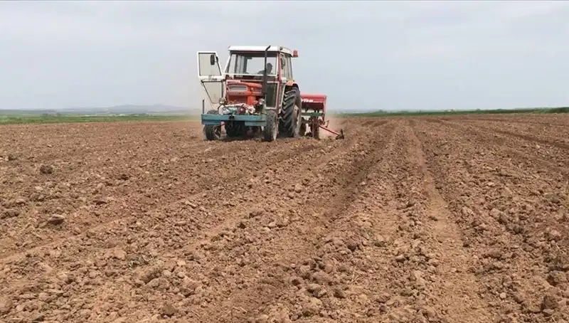 Son 35 Yılın En Kurak Mart Ayı: Yağış Oranları Düşük Kalıyor
