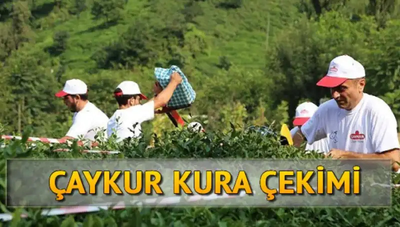 Çaykur Canlı Kura Sayfası: Yeni İsimler Nasıl Öğrenilir?