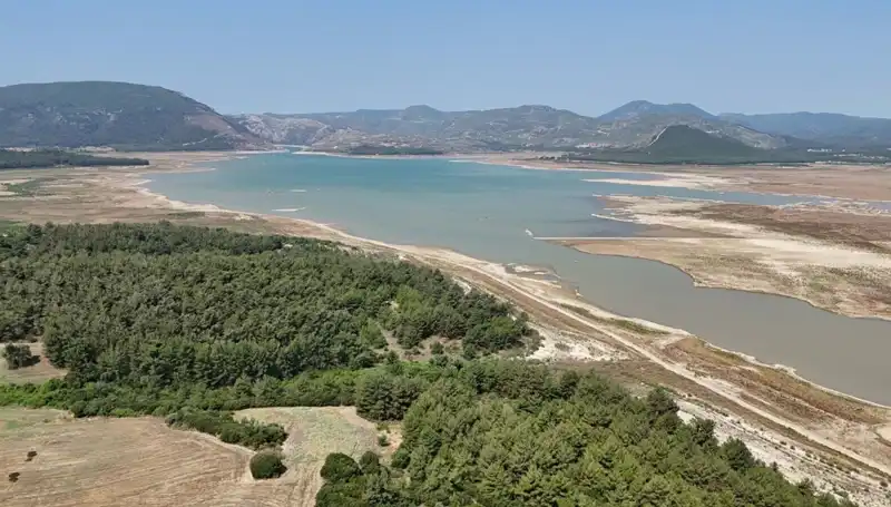 İzmir'de Tehlike Çanları: İstatistikler Geçen Yıla Göre Yüzde 50 Düşüş Gösteriyor