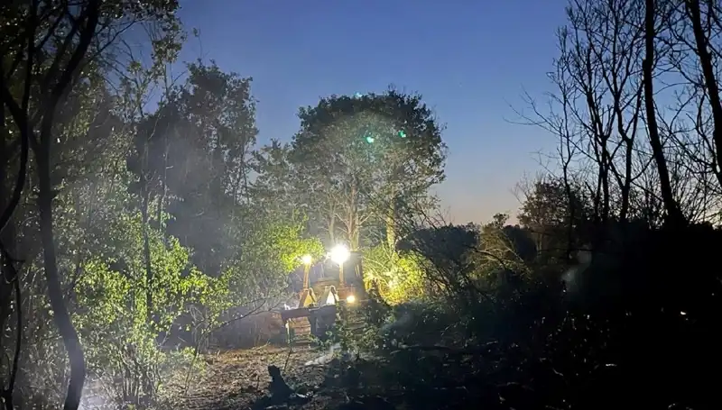 Edirne'deki Büyüyen Orman Yangını Kontrol Altına Alındı: Detaylar ve Son Gelişmeler