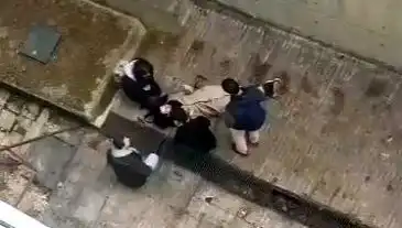 Üniversite Kampüsünde Köpek Paniği: Düşen Öğrenci Yaralandı