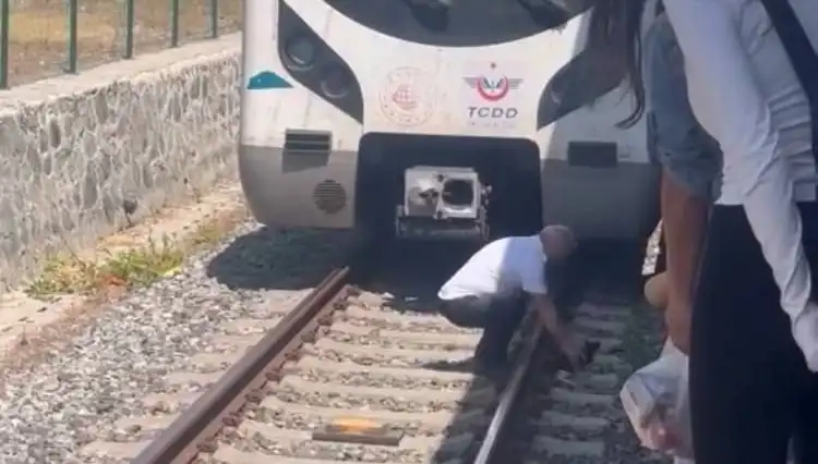 İstanbul'da Marmaray Makinistinden Örnek Davranış: Raylardaki Kediye Anında Müdahale