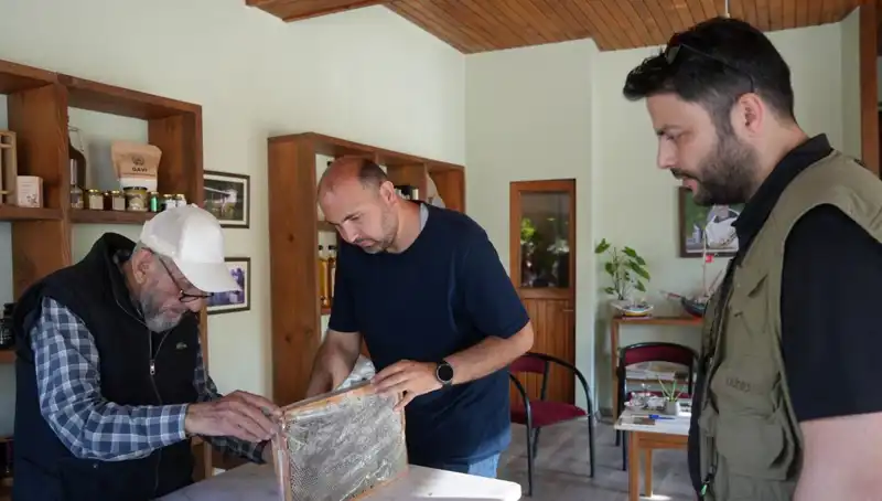 Doktorlar Uyarıyor: Bu Doğal Besin Hem Şifa Hem Tehlike Taşıyor!