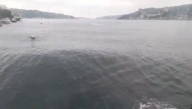 İstanbul Boğazı'nda Dalgalar Yükseliyor: Doğa Oyunları Başlıyor!